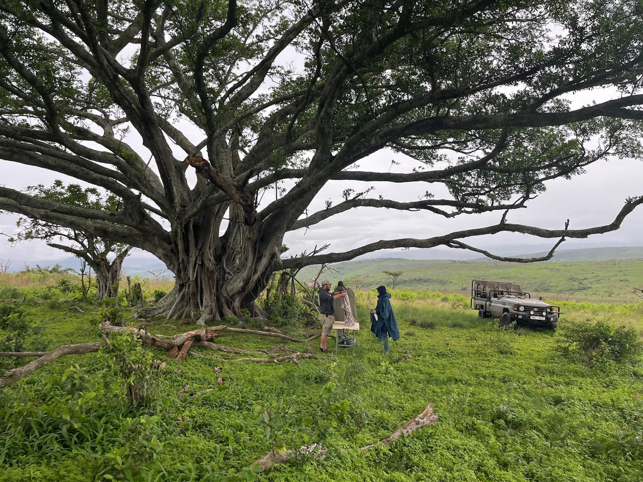 Road trip en Afrique du Sud