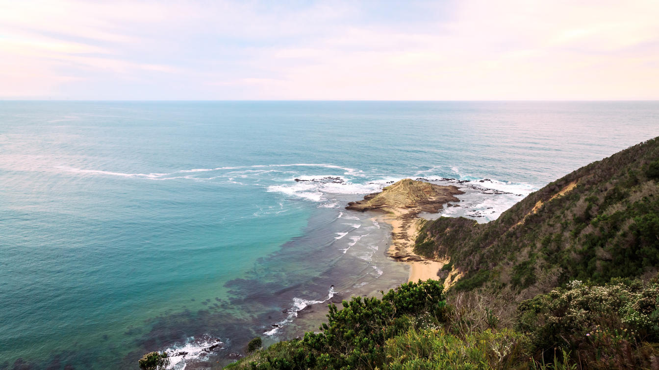 Fynbos · Sedgefield