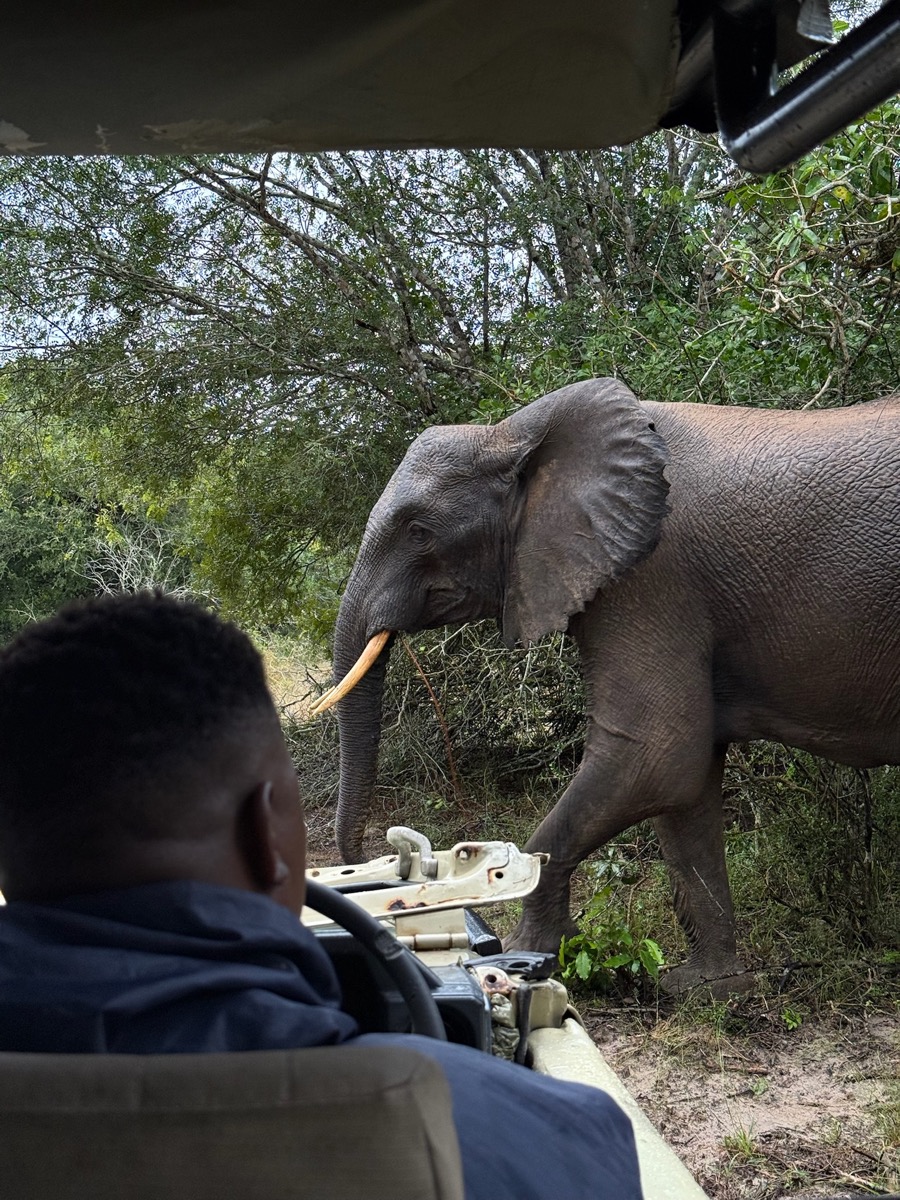 Tembe Elephant Park