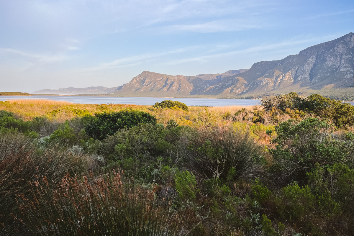 La Route des Jardins, Cap-Occidental, Afrique du Sud