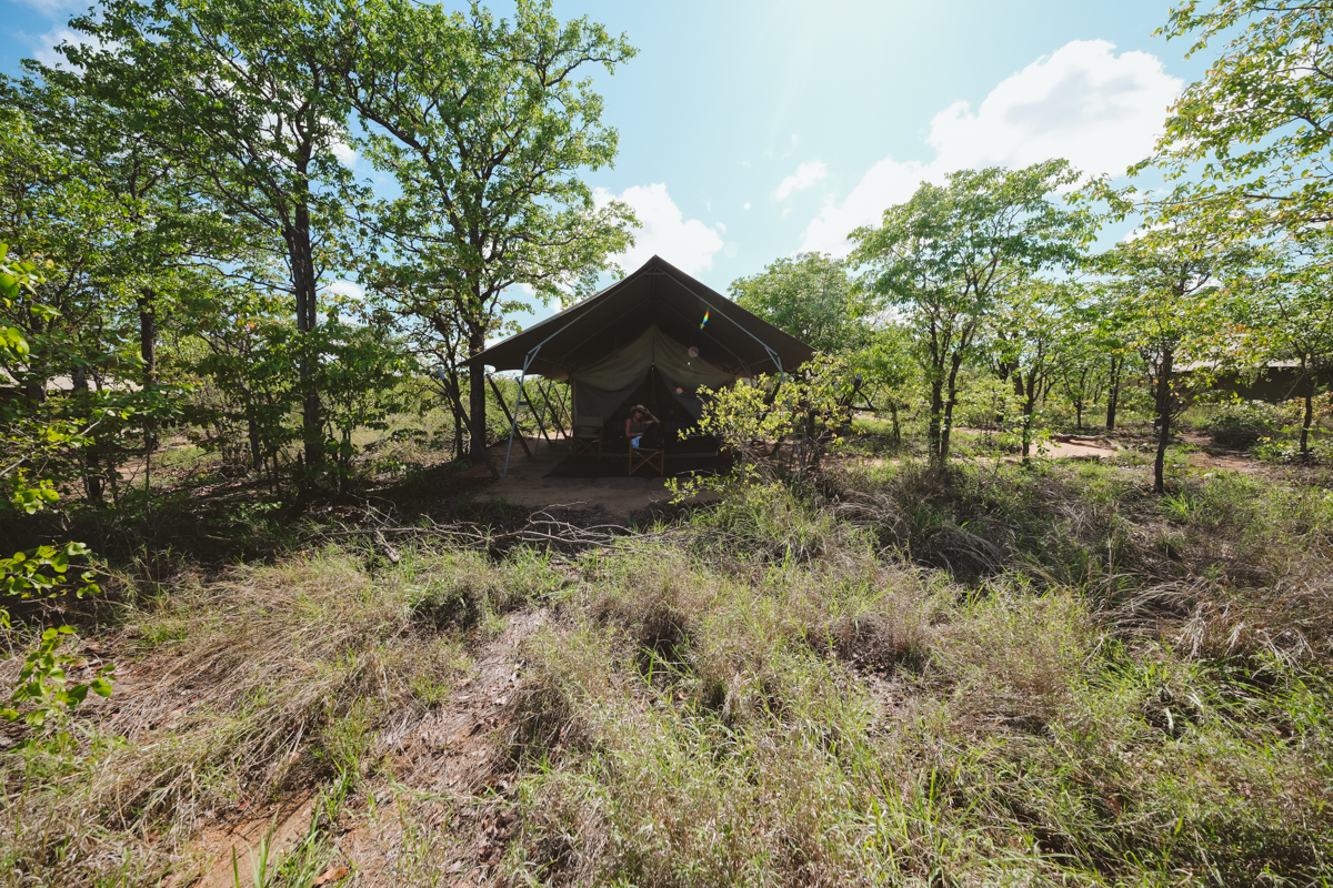 Éléphants à un point d'eau dans le Grand Kruger, Afrique du Sud
