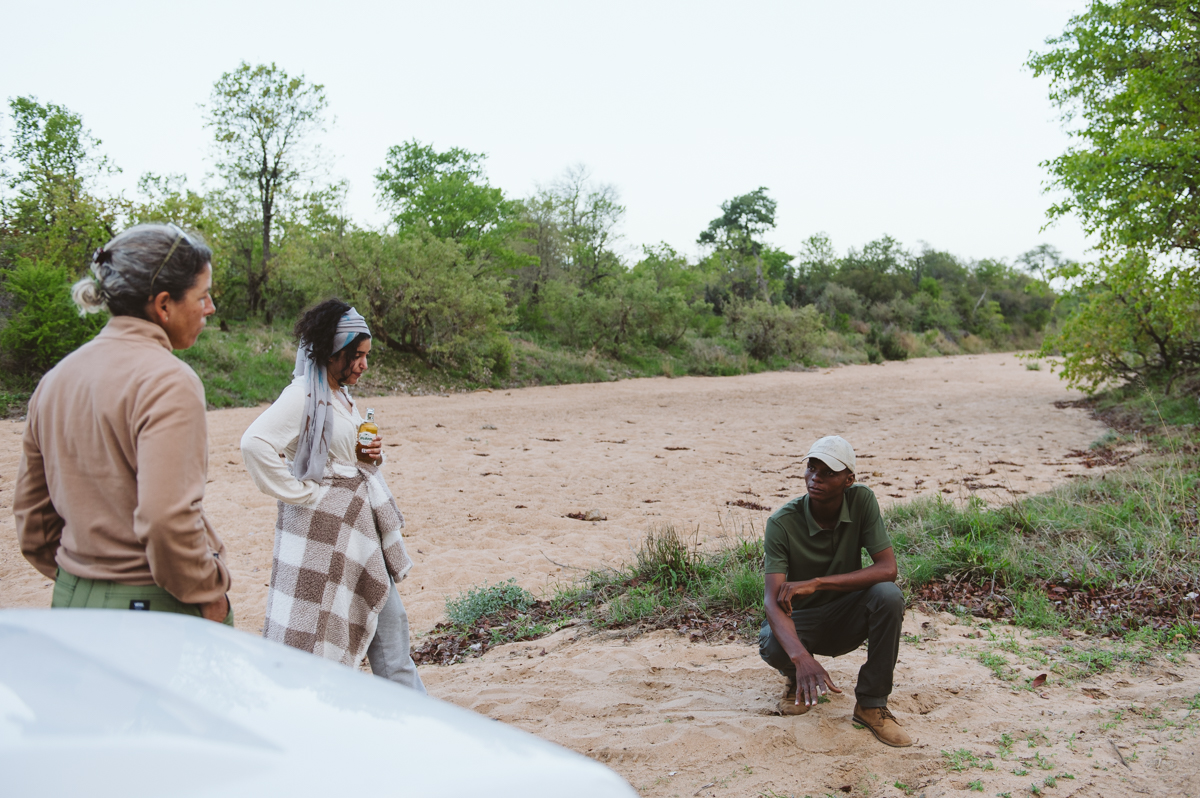 Guide safari accroupi avec des voyageurs au bord d'une rivière à sec dans le Grand Kruger
