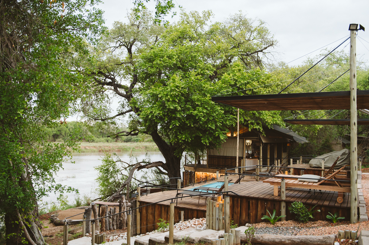 Terrasse d'un lodge et piscine en bord de rivière sur les berges de l'Olifants, Grand Kruger