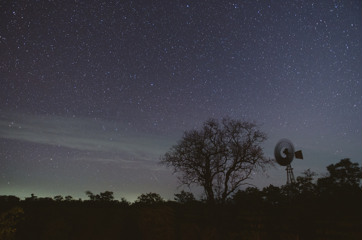Étoiles de la Voie lactée au-dessus des arbres en silhouette et d'un moulin dans le Grand Kruger la nuit