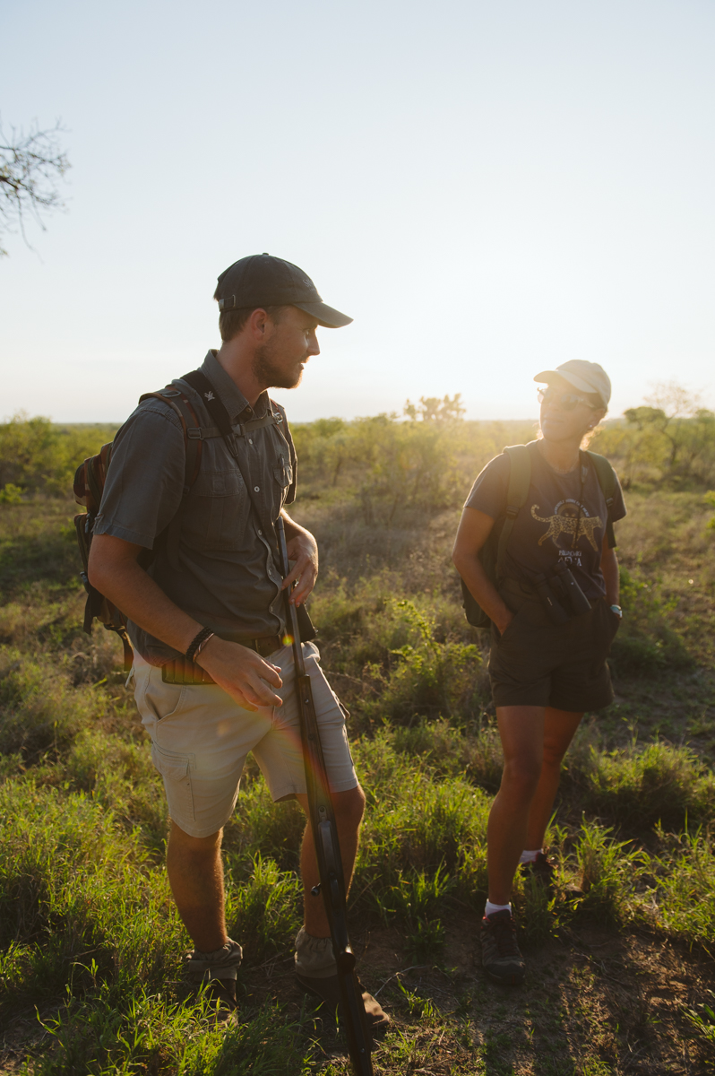 Ranger armé et voyageur lors d'un safari à pied dans le Grand Kruger à l'heure dorée