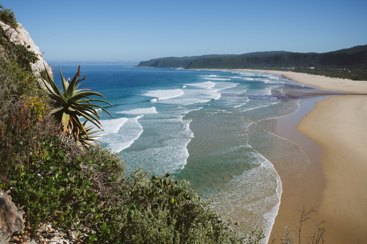 Côte de la Route des Jardins avec des vagues turquoise, sable blanc et forêt indigène qui rejoint la mer