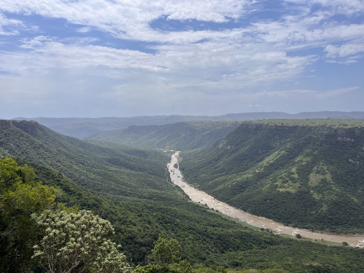 Une dramatique gorge fluviale traversant les collines verdoyantes du KwaZulu-Natal, Afrique du Sud