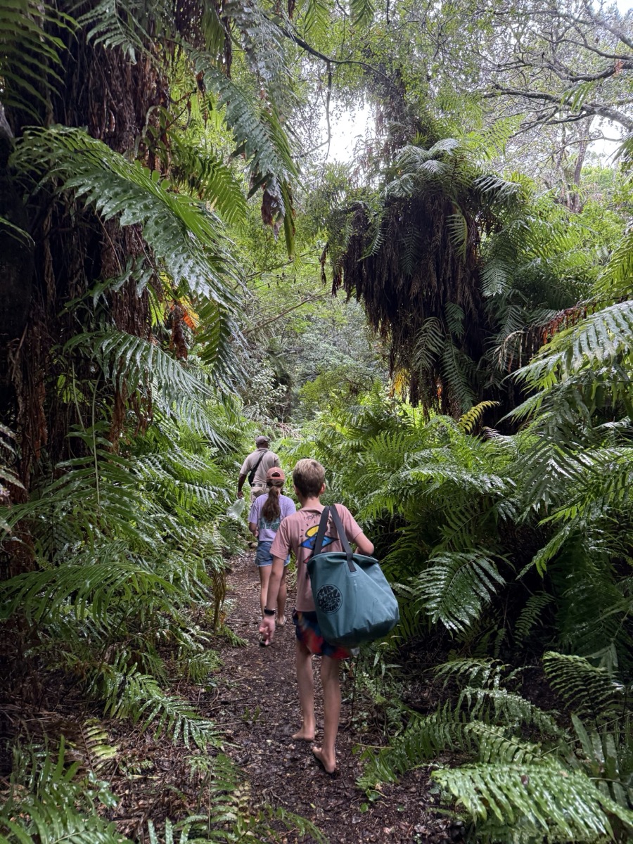Une famille marchant pieds nus à travers une dense forêt côtière à Kosi Bay, nord du KwaZulu-Natal