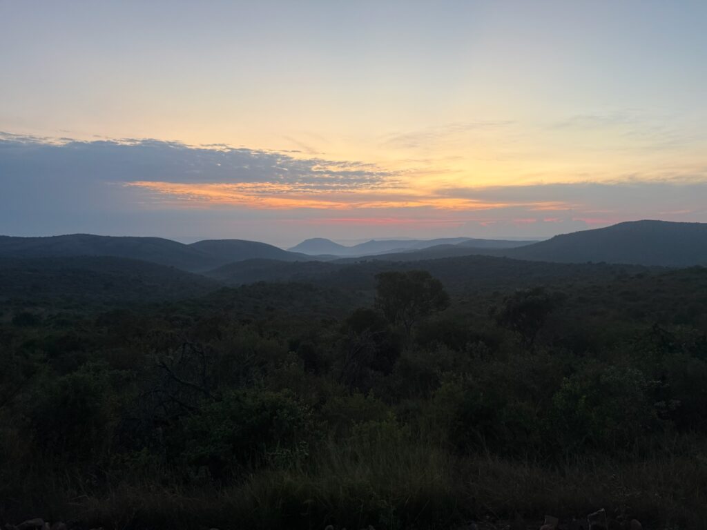 Lever de soleil sur le bush en Afrique du Sud